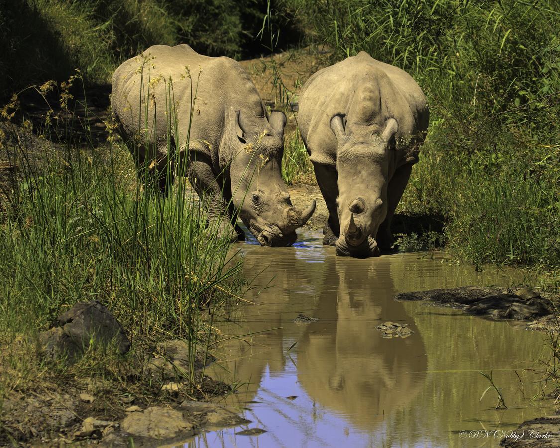 Thula Thula Exclusive Private Game Reserve & Lodge Ntambanana Exterior foto
