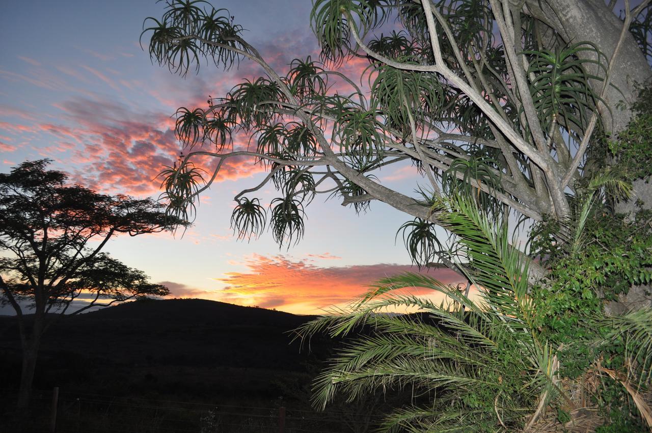 Thula Thula Exclusive Private Game Reserve & Lodge Ntambanana Exterior foto