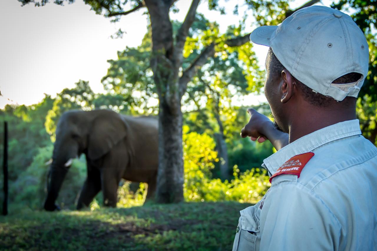 Thula Thula Exclusive Private Game Reserve & Lodge Ntambanana Exterior foto