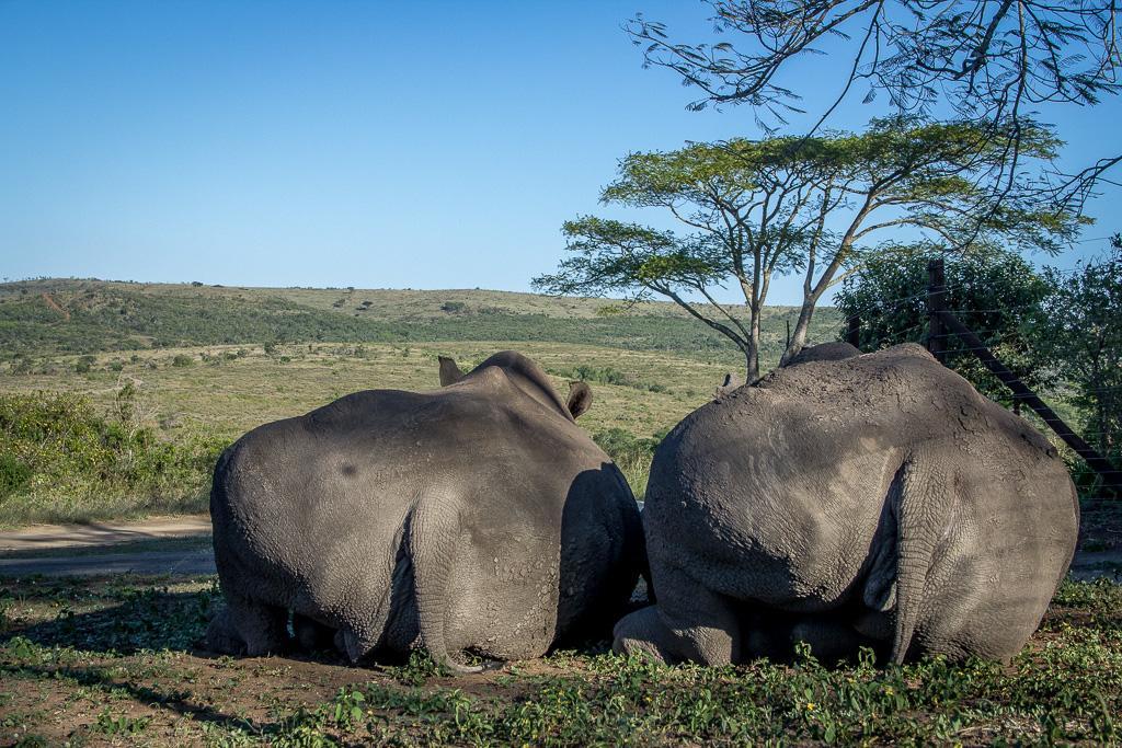 Thula Thula Exclusive Private Game Reserve & Lodge Ntambanana Exterior foto