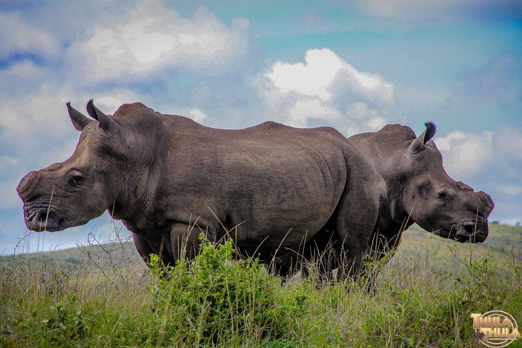 Thula Thula Exclusive Private Game Reserve & Lodge Ntambanana Exterior foto