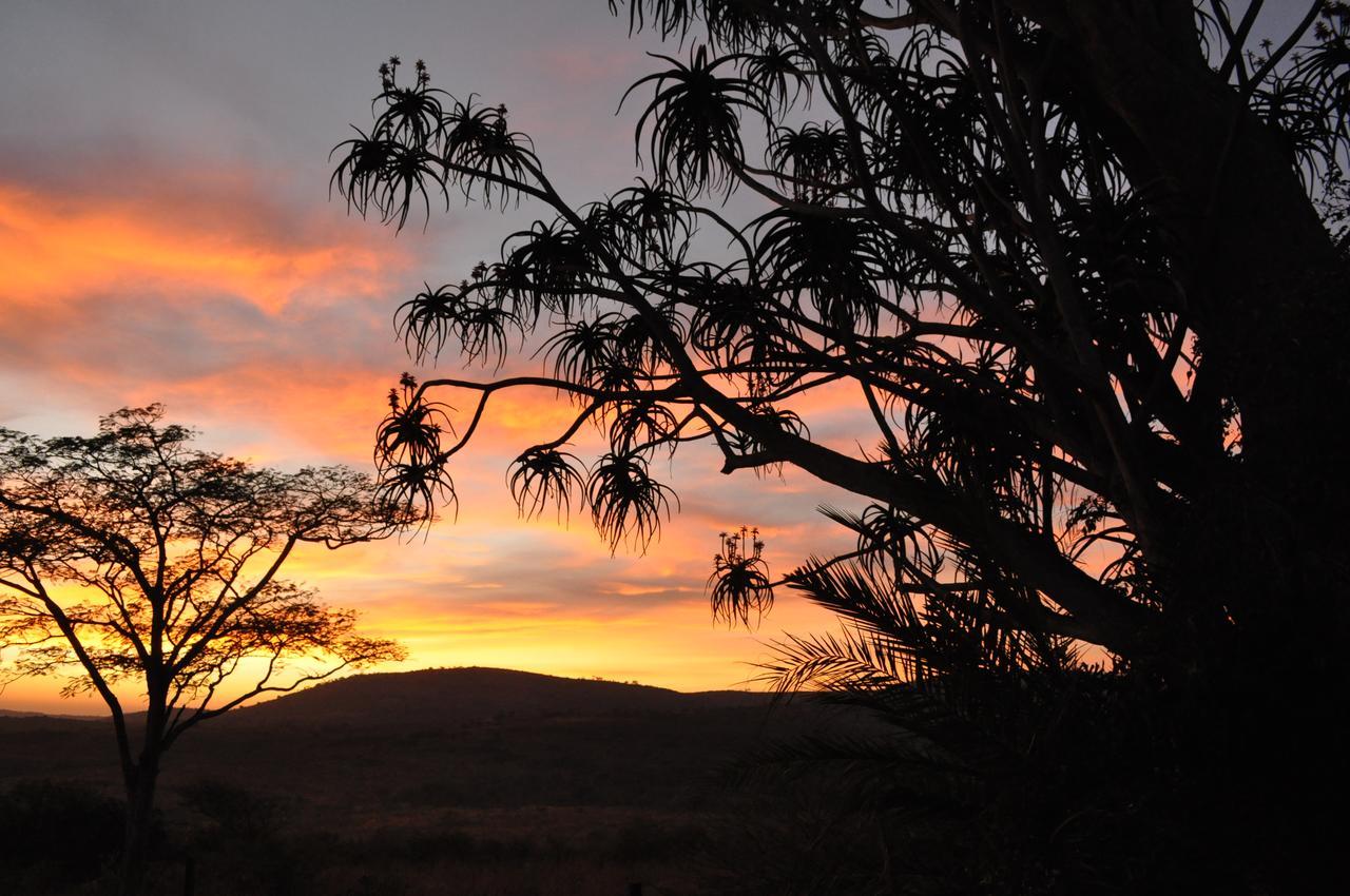 Thula Thula Exclusive Private Game Reserve & Lodge Ntambanana Exterior foto