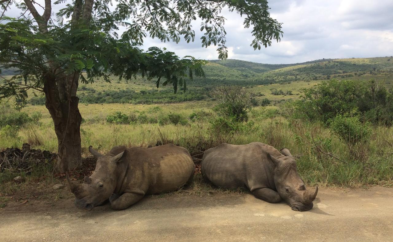 Thula Thula Exclusive Private Game Reserve & Lodge Ntambanana Exterior foto